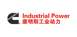 广西康明斯